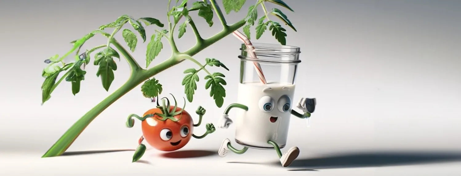 Cartoon tomato and milk character illustrating calcium nutrients supporting plant growth in hydroponic gardening systems