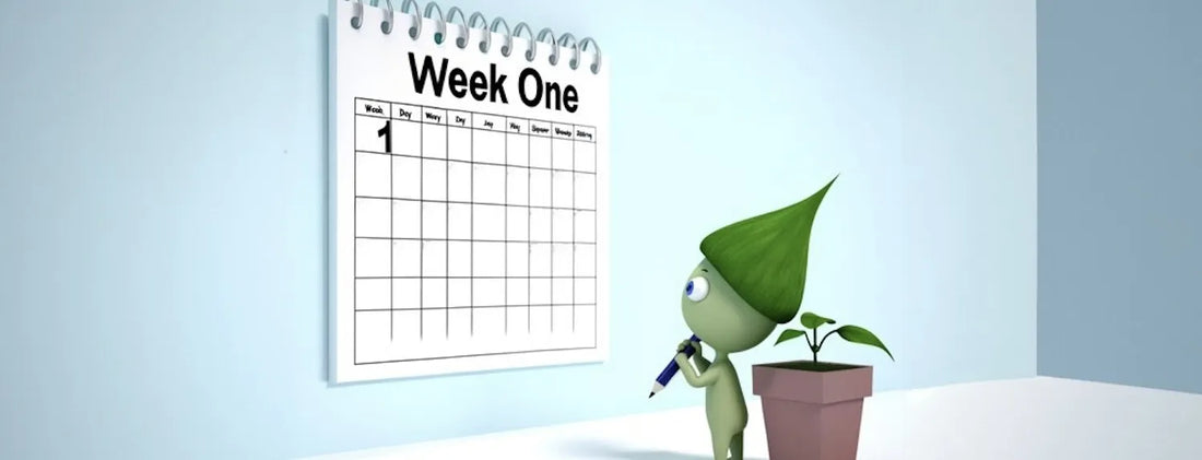Week One calendar illustration with cartoon plant character beside a seedling, A-Grade Hydroponics feeding guide