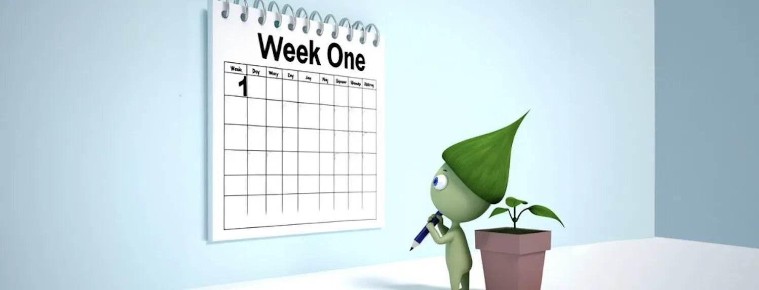 Week One calendar illustration with cartoon plant character beside a seedling, A-Grade Hydroponics feeding guide