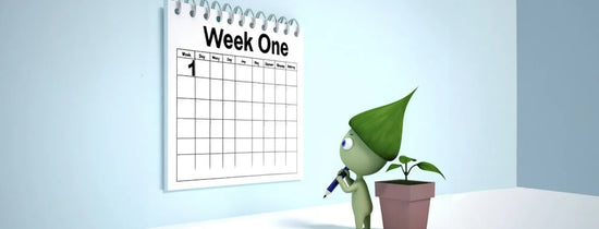 Week One calendar illustration with cartoon plant character beside a seedling, A-Grade Hydroponics feeding guide