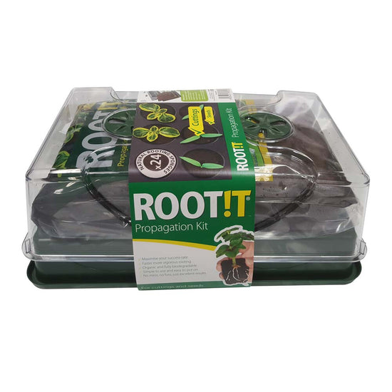 ROOT !T Essential Propagation Kit