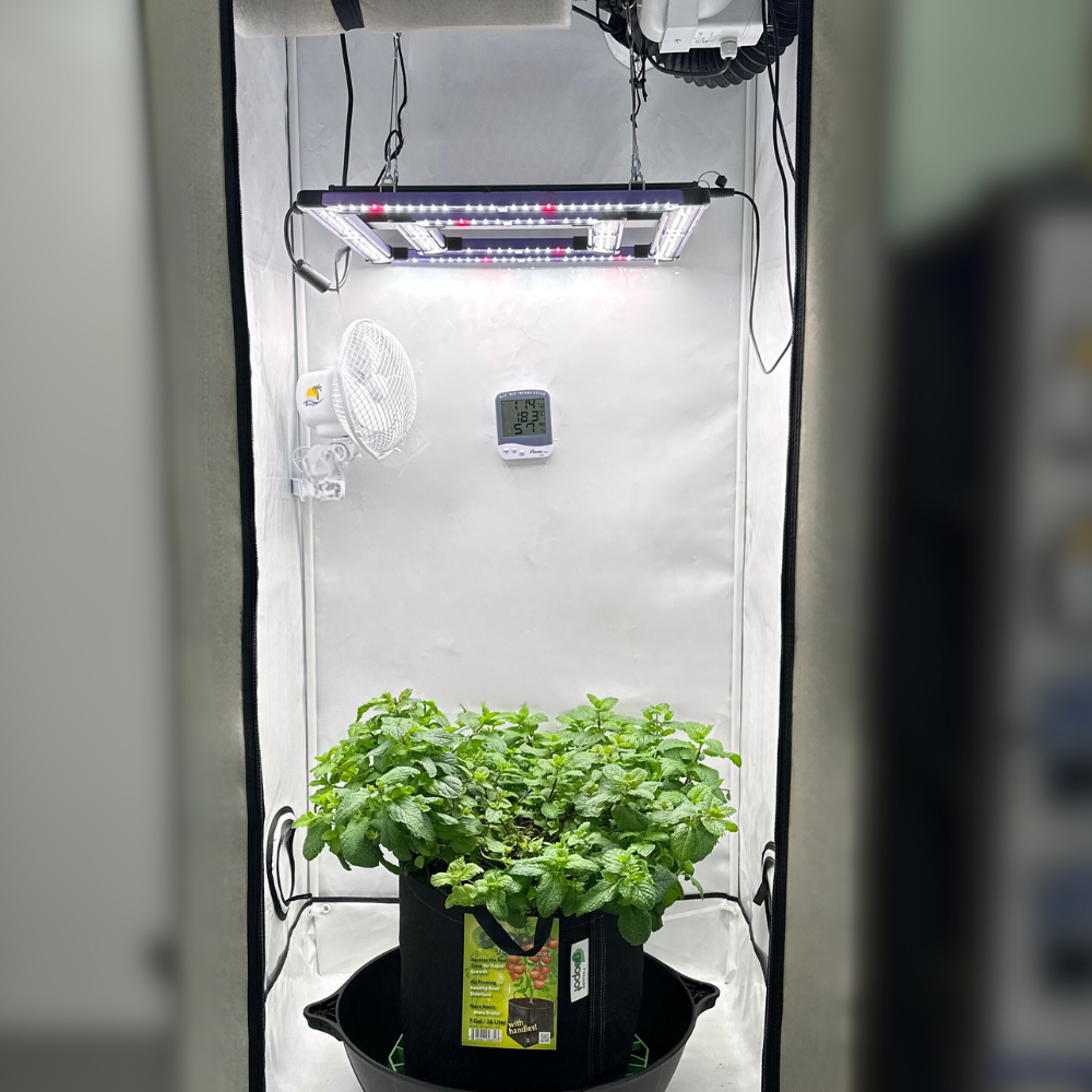 The A-Grade Apprentice - A-Grade Hydroponics