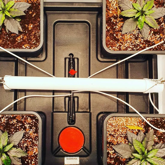 Installed heat bar in hydroponic grow system providing consistent warmth for healthy plant growth