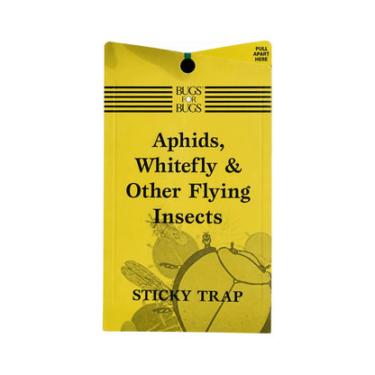 Yellow sticky insect trap cards for aphids, whitefly and flying pests, double-sided glue traps for indoor plants and hydroponic grow rooms