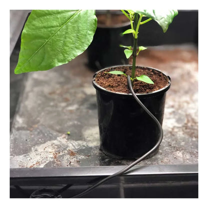 CULTIV8 thermostat controller probe monitoring root zone temperature in a potted hydroponic plant