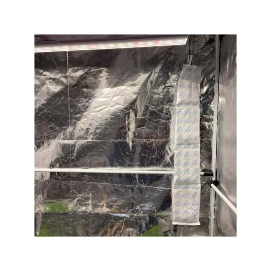 Desiccant humidity control strips hanging inside grow tent to reduce moisture, mould and excess humidity during flowering.