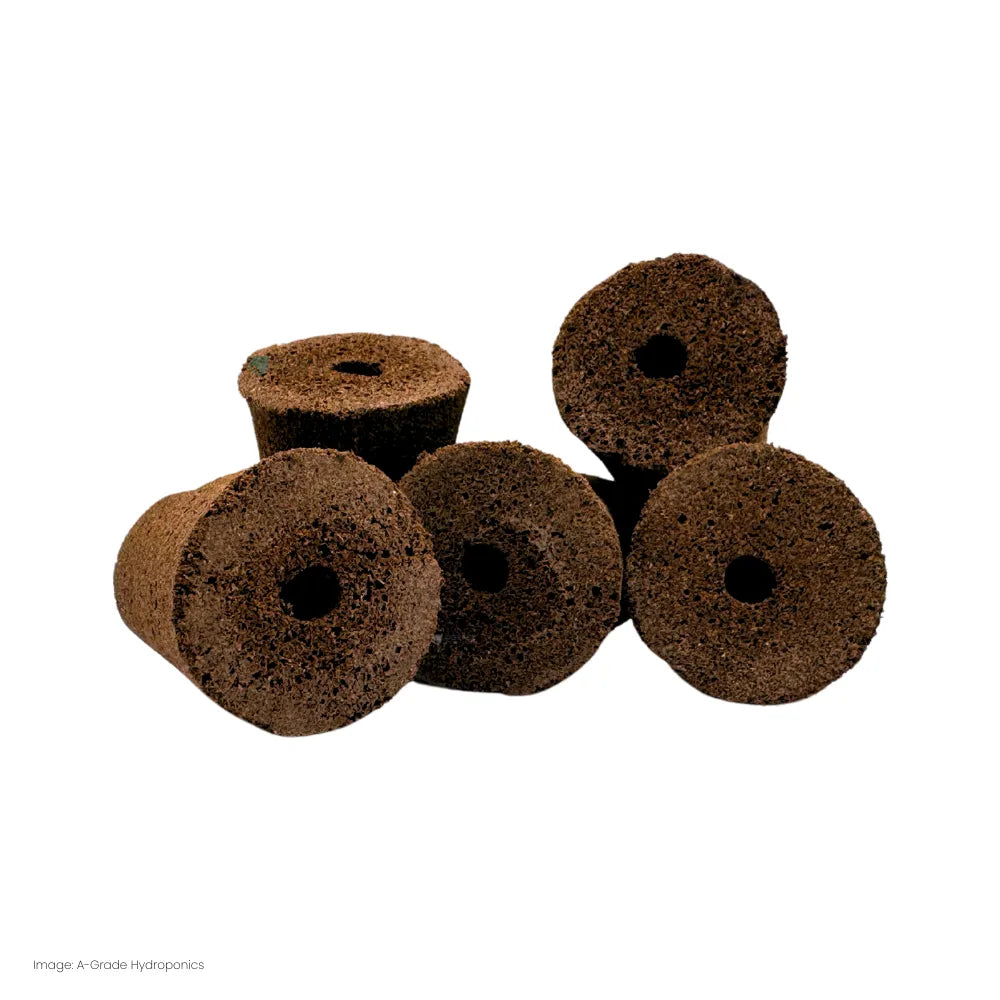 Close-up of moss peat sponge plugs with centre holes, hydroponic propagation media for seedlings