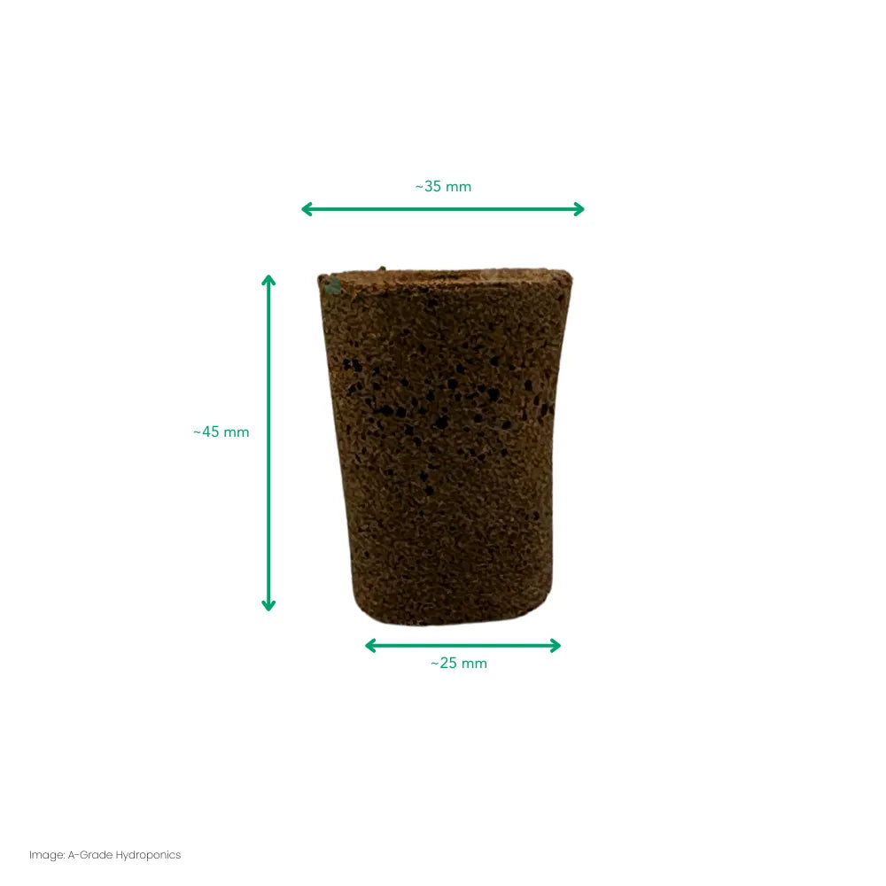 Single moss peat sponge plug with dimensions, tapered hydroponic seed starter insert