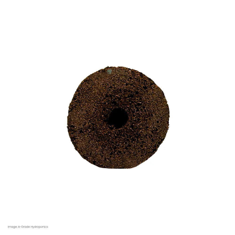 Top view of moss peat sponge plug showing centre hole, biodegradable growing media for propagation