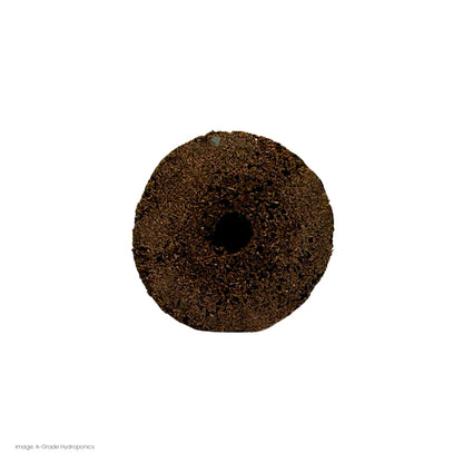Top view of moss peat sponge plug showing centre hole, biodegradable growing media for propagation