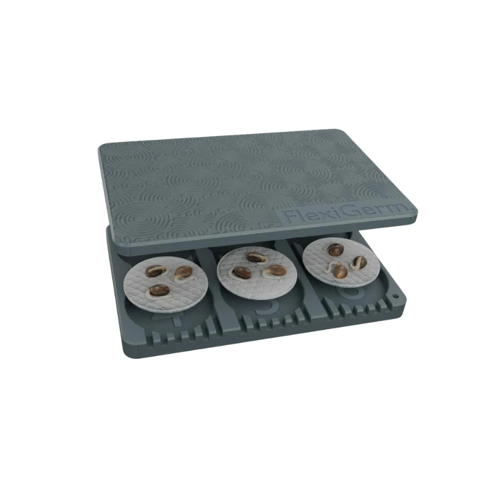 FlexiGerm seed germination tray with six pods, showing sprouting seeds inside reusable indoor growing system