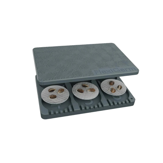 FlexiGerm seed germination tray with six pods, showing sprouting seeds inside reusable indoor growing system
