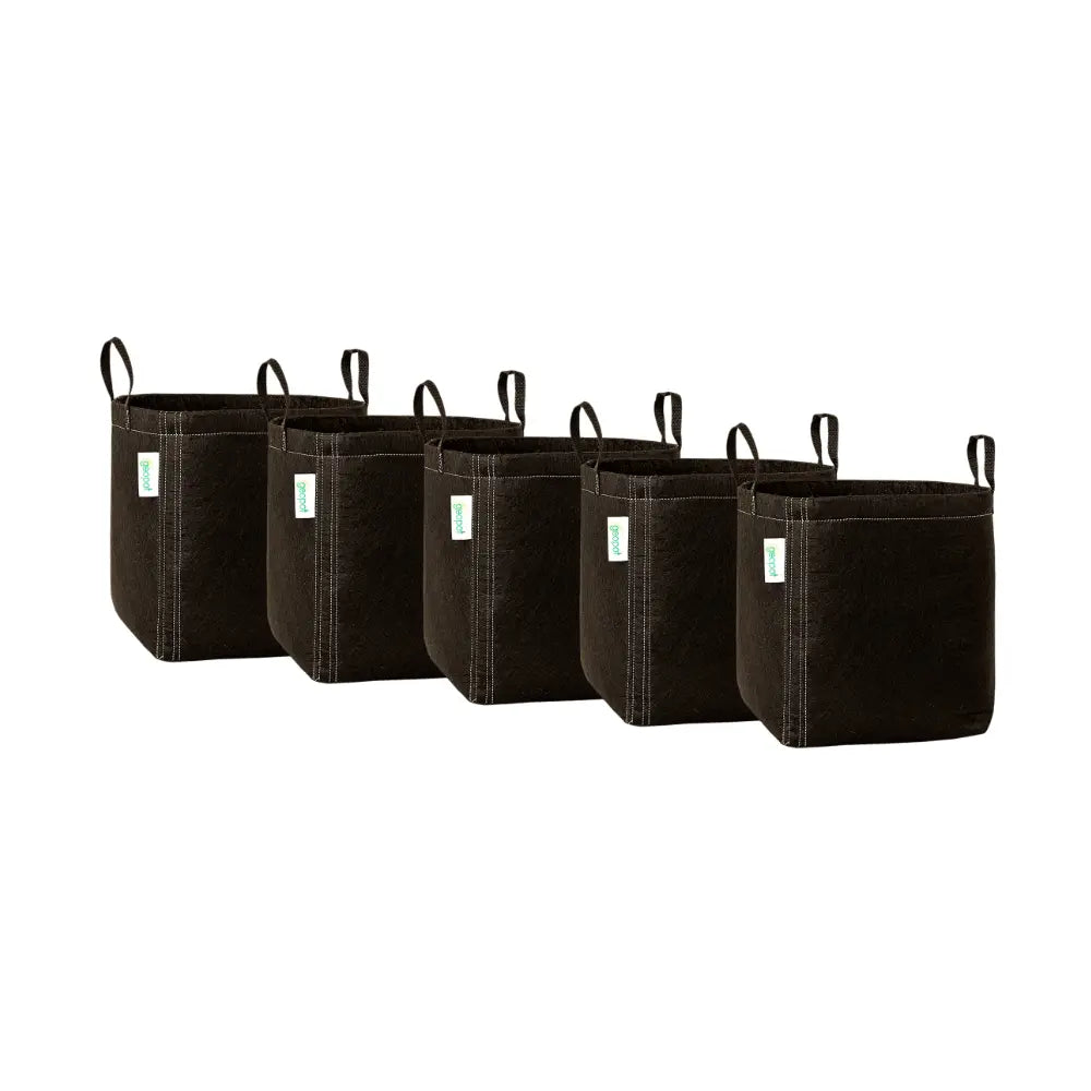 GeoPot 38L 10 gallon fabric grow pots 5 pack, five black pots with handles and white stitching for air root pruning