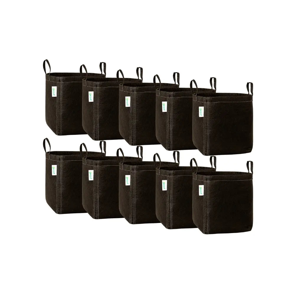 GeoPot 19L / 5 Gallon fabric grow pot 10 pack, two rows of black breathable pots with twin handles for air pruning