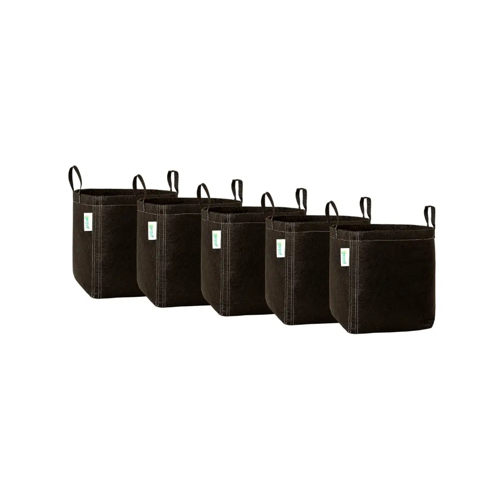 GeoPot 19L / 5 Gallon fabric grow pot 5 pack, black breathable pots with twin handles and white stitched seams