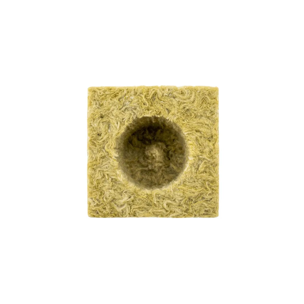 Top view of Grodan Delta 4G rockwool cube showing central hole, ideal hydroponic grow block for seedlings and cuttings