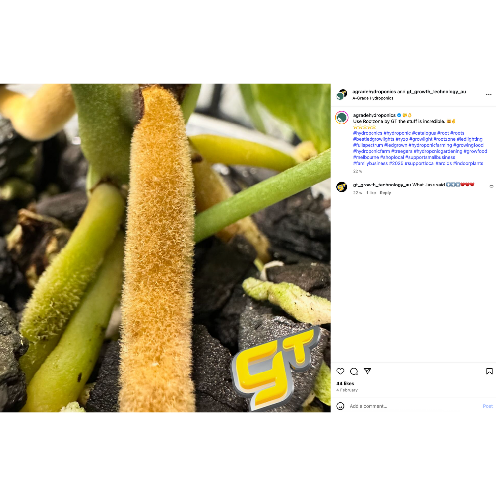 Growth Technology Rootzone|250ml|1L - A-Grade Hydroponics