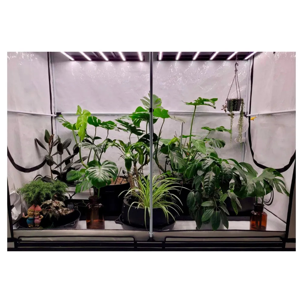 Homebox Ambient R240+ indoor grow tent with LED grow lights and multiple plants inside reflective grow room for indoor gardening