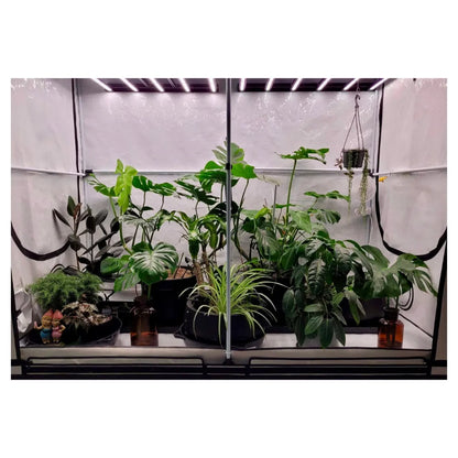 Homebox Ambient R240+ indoor grow tent with LED grow lights and multiple plants inside reflective grow room for indoor gardening