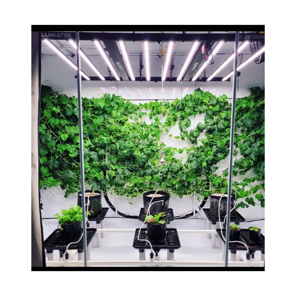 Indoor hydroponic grow setup inside Homebox Ambient R300+ with LED grow lights, trellis netting and multiple plants under controlled environment