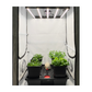HOMEbox Ambient Q120 Plus Grow Room