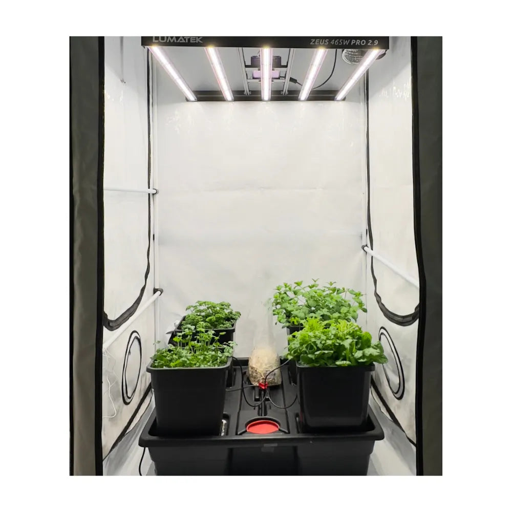 Indoor hydroponic garden setup inside HOMEbox Ambient Q120+ grow tent with LED grow light and potted plants