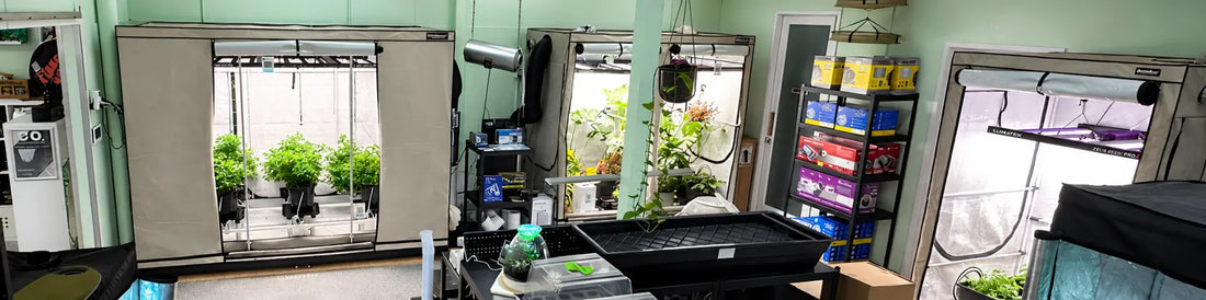 Hydroponic Equipment