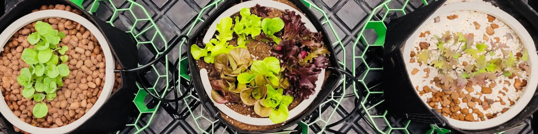 Hydroponic Grow Packages