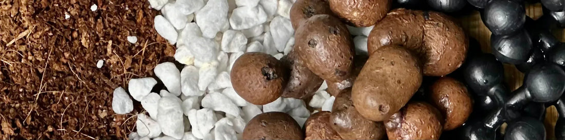 Hydroponic Nutrients & Grow Medium