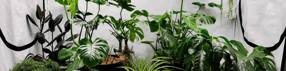 Hydroponic Brands