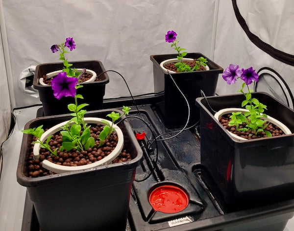 Hydroponics Systems