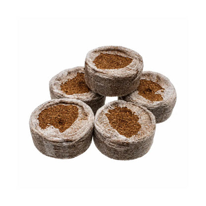 Five JIFFY 7C 35mm coir pellets grouped together, dehydrated peat-free propagation pellets in fine mesh netting
