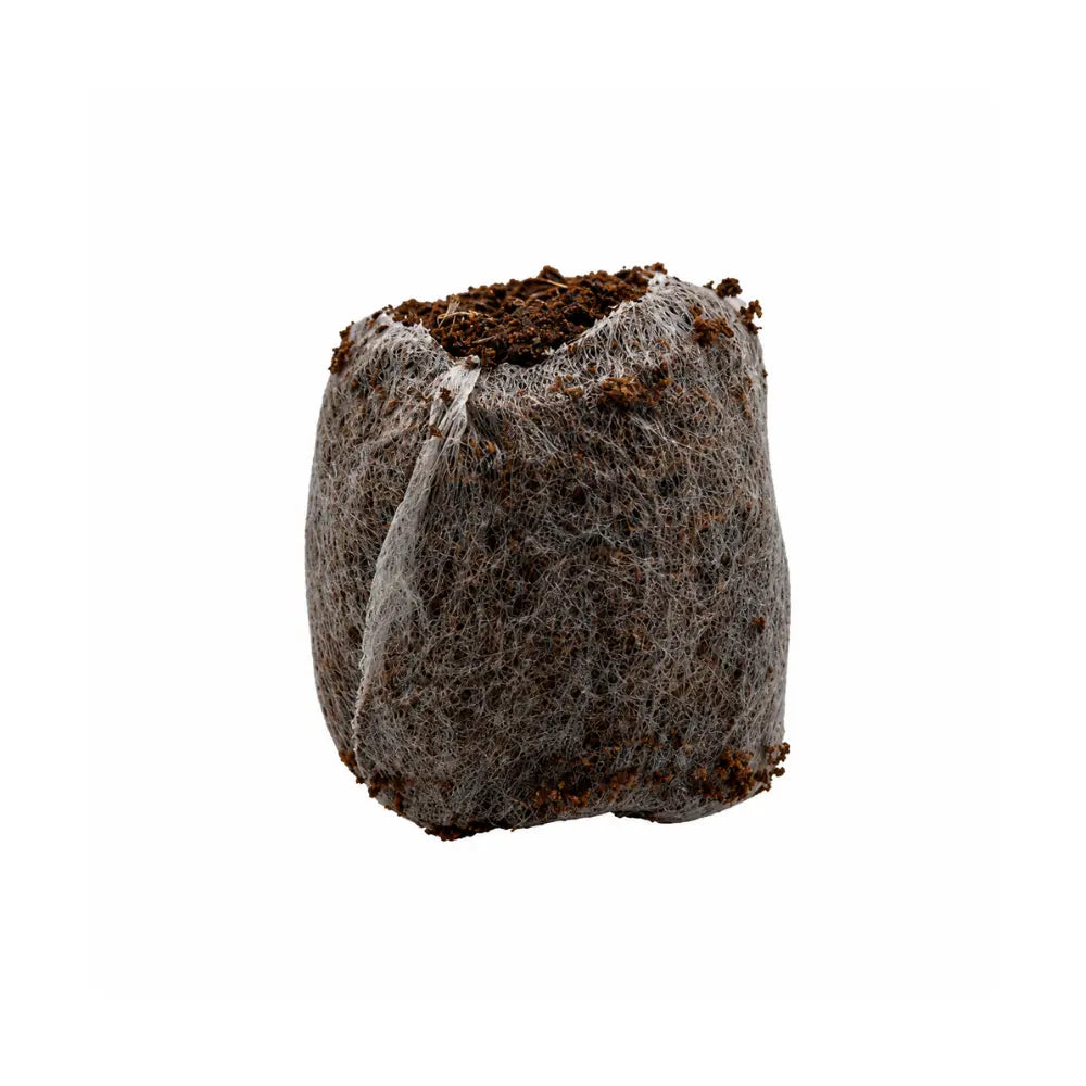 Hydrated JIFFY 7C coir pellet expanded upright in fine mesh netting, ready for seeds or cuttings