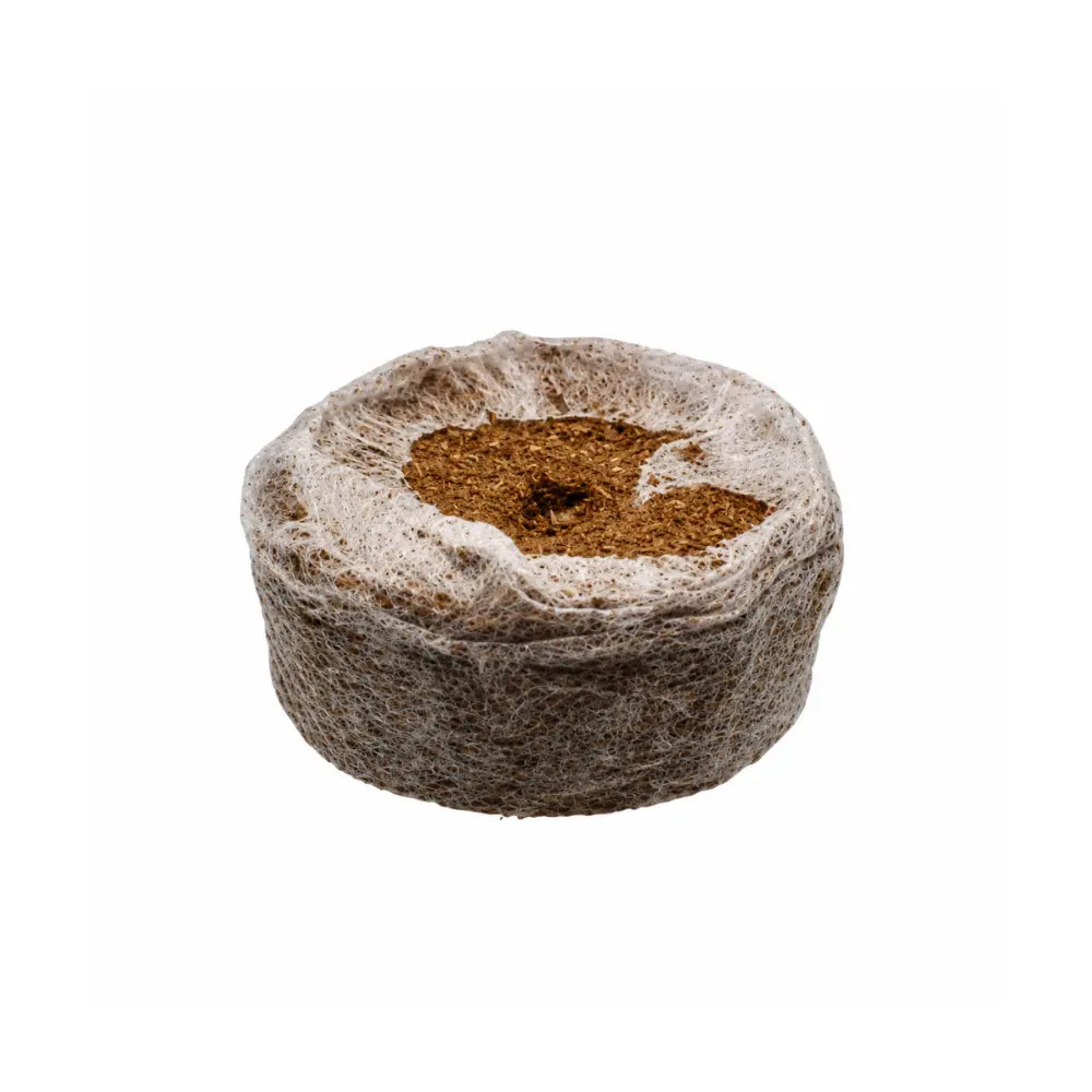 Single dehydrated JIFFY 7C 35mm coir pellet in white mesh netting with seed hole, peat-free propagation pellet