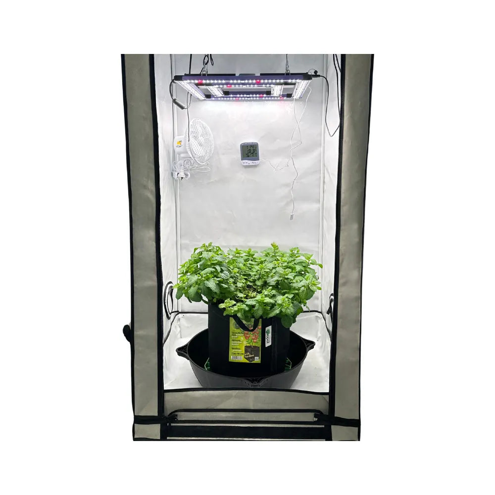 LUMATEK ATS PRO LED grow light installed in Homebox Q80+ grow tent above healthy plants for hydroponic cultivation.