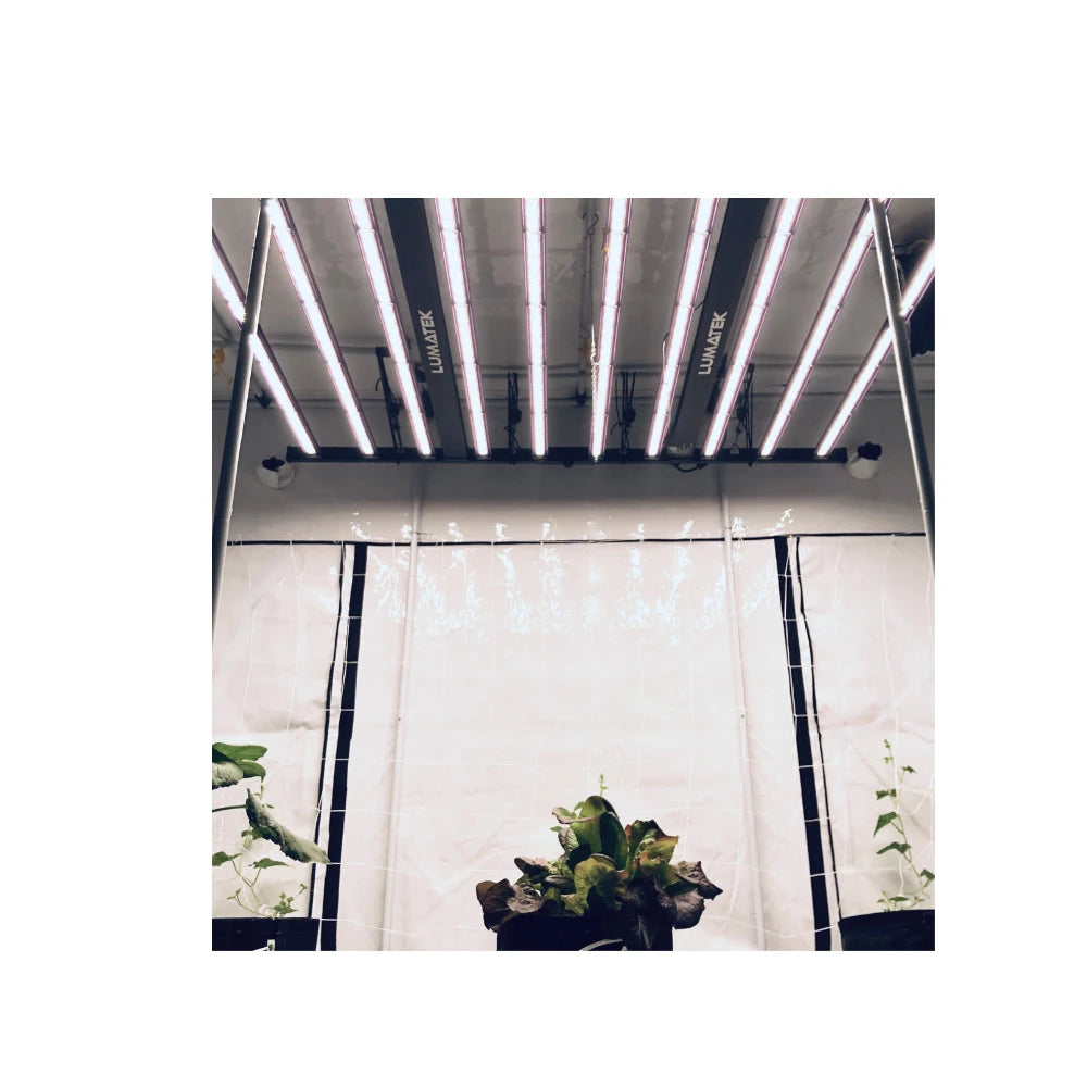 Lumatek Zeus Pro3.1 1000w led light fixture in hydroponics grow room.