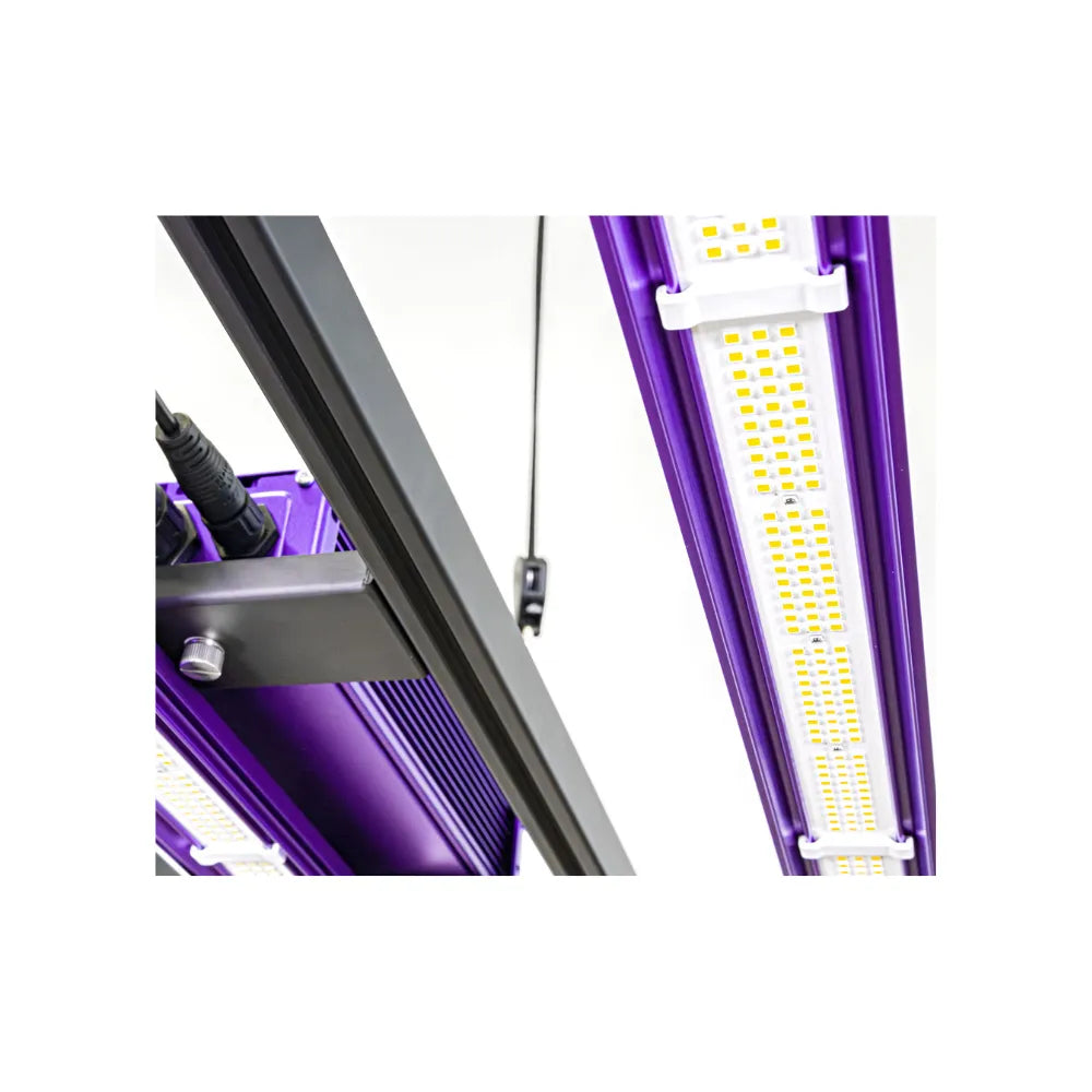 Close-up of Lumatek Zeus 465W Pro 3.1 LED grow light bar with purple housing and high-efficiency LED chips.