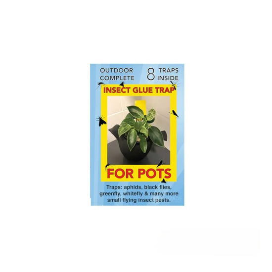 OUTDOOR COMPLETE yellow insect glue trap packaging for pots designed to trap aphids, whitefly, black flies and other flying plant pests.