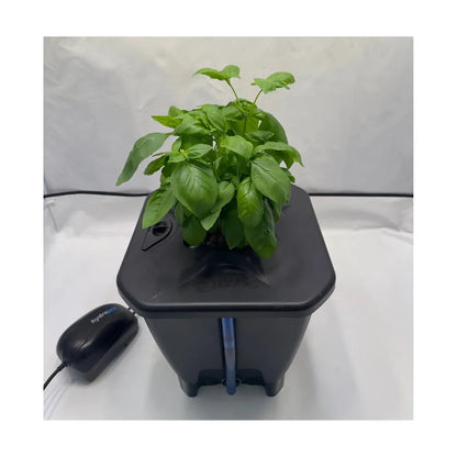Single bucket DWC hydroponic system with basil plant, Oxypot deep water culture kit with air pump for indoor growing