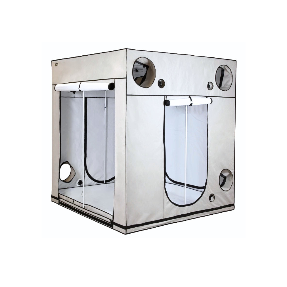 HOMEbox Ambient Q200 Grow Room - A-Grade Hydroponics