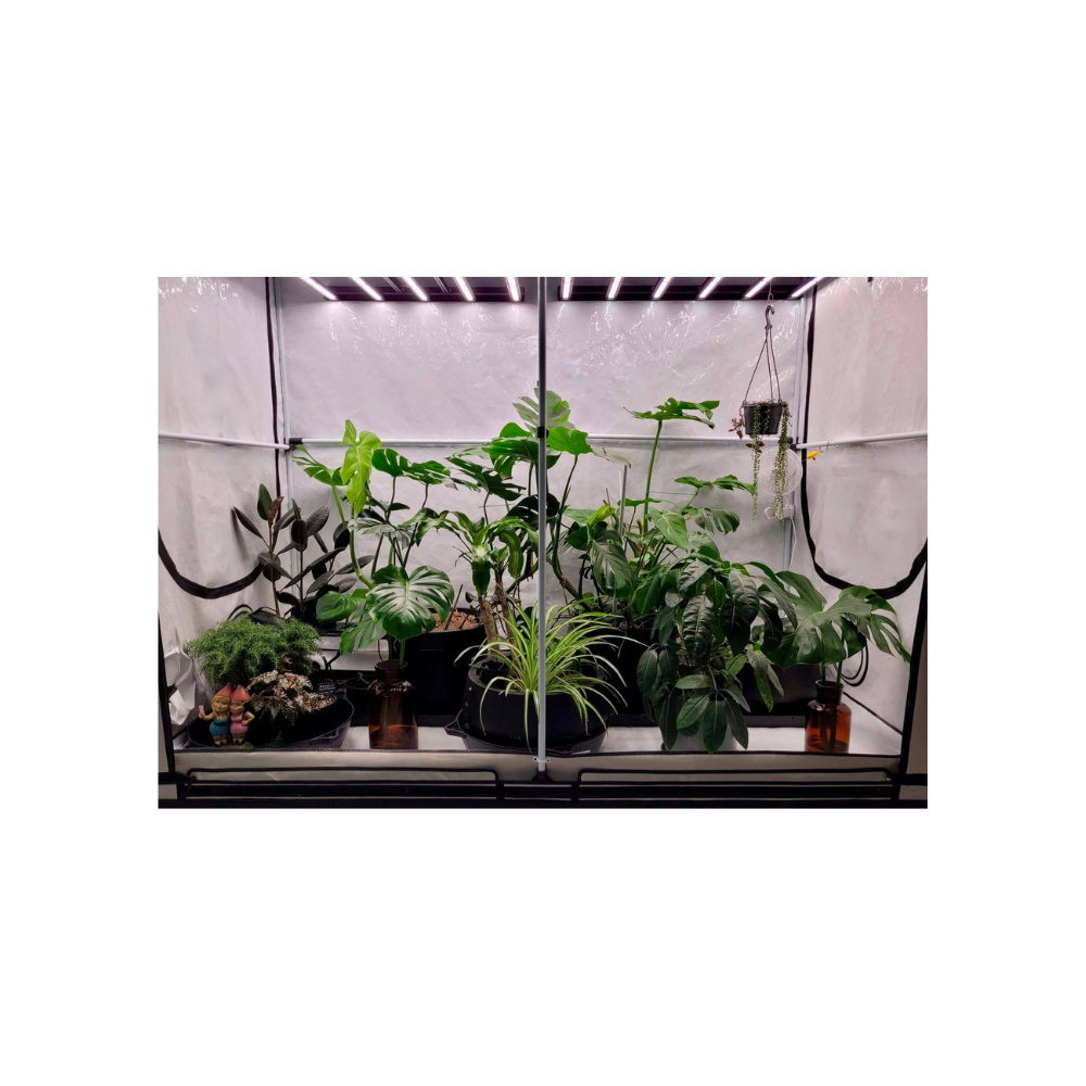 HOMEbox Ambient R240 Plus Medium Grow Room - A-Grade Hydroponics