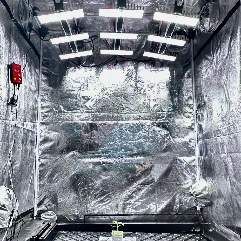 SANlight EVO 3-80 Series 190W - A-Grade Hydroponics