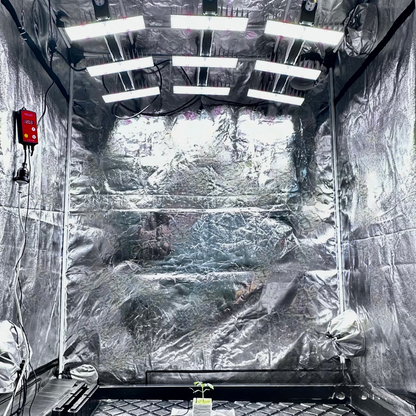 SANlight EVO 3-80 Series 190W - A-Grade Hydroponics