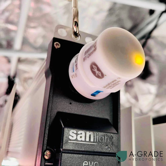 SANlight EVO LED grow light with Bluetooth dimmer module attached, professional hydroponic grow lighting for indoor plants and grow tents.