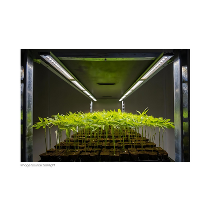 SANlight Flex II 40W Set of 2 - A-Grade Hydroponics