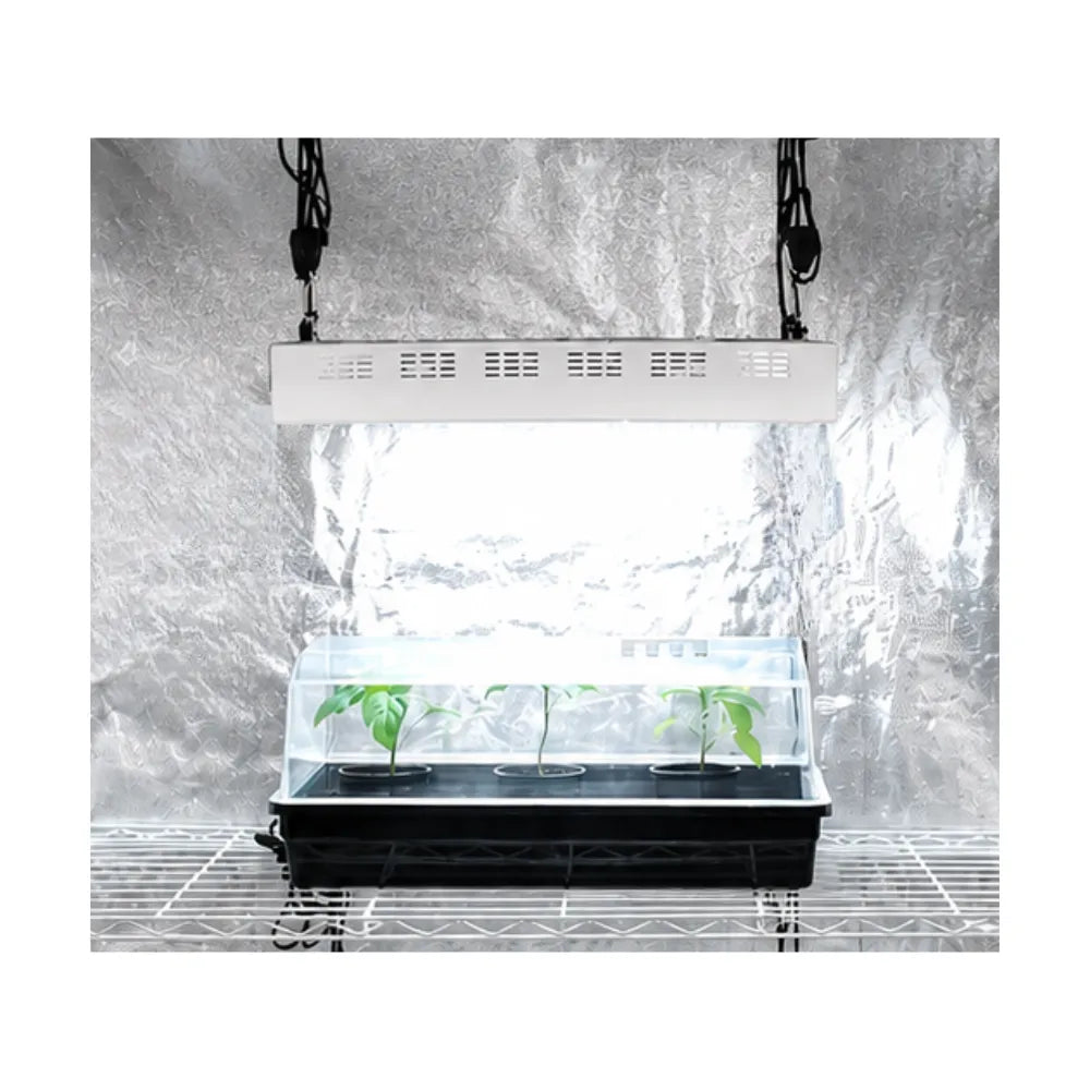 SEAHAWK Starlight T5 propagation light system with humidity dome and seedlings under 6400K grow lighting.