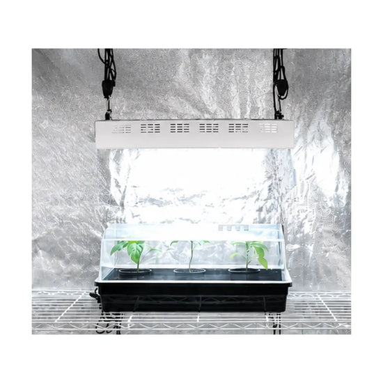 SEAHAWK Starlight T5 propagation light system with humidity dome and seedlings under 6400K grow lighting.