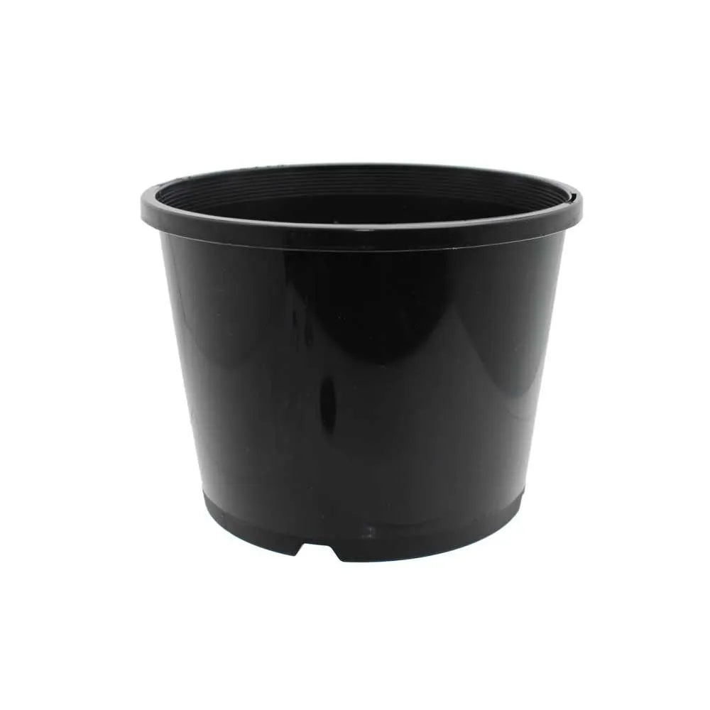 Black 3.3L squat plant pot, low profile plastic grow pot for seedlings, cuttings and hydroponic systems