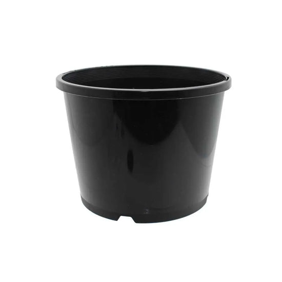 Black 3.3L squat plant pot, low profile plastic grow pot for seedlings, cuttings and hydroponic systems