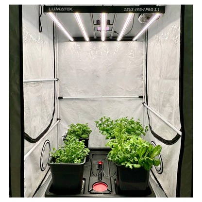Indoor hydroponic grow tent with leafy green plants under Lumatek Zeus 455W LED grow light system.